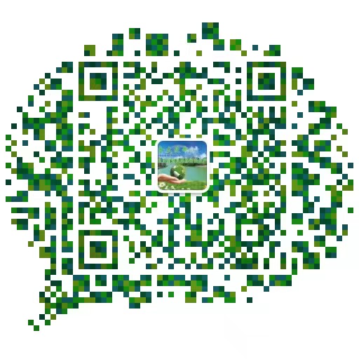 微信在線(xiàn)咨詢(xún)